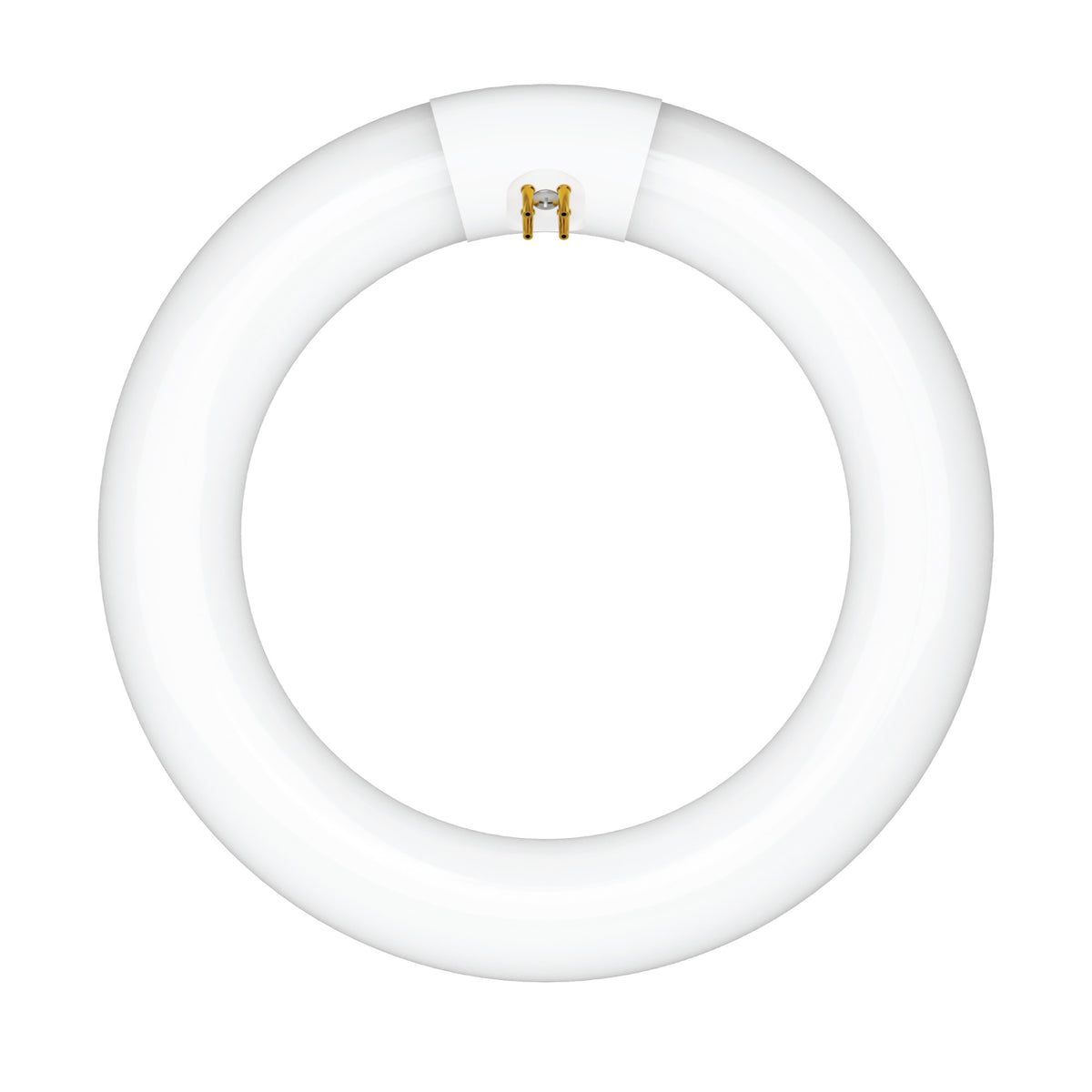22W 8in T9 Circular Warm White 4-Pin G10q Base Non-Dimmable Fluorescent Light Tube