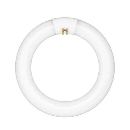 22W 8in T9 Circular Cool White 4-Pin G10q Base Non-Dimmable Fluorescent Light Tube