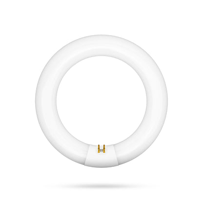 22W 8in T9 Circular Cool White 4-Pin G10q Base Non-Dimmable Fluorescent Light Tube