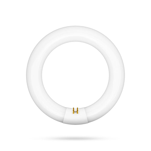 22W 8in T9 Circular Cool White 4-Pin G10q Base Non-Dimmable Fluorescent Light Tube