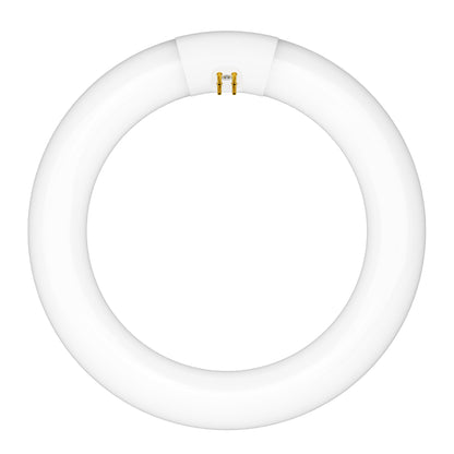 30W 9in T9 Circular Cool White 4-Pin G10q Base Non-Dimmable Fluorescent Light Tube