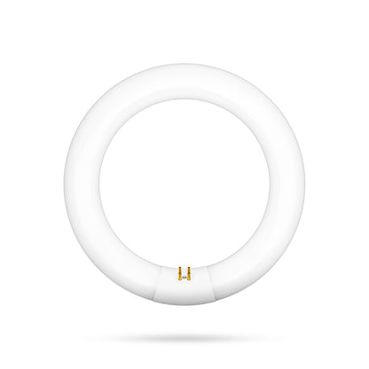 30W 9in T9 Circular Cool White 4-Pin G10q Base Non-Dimmable Fluorescent Light Tube
