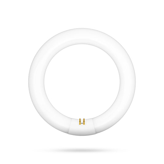 30W 9in T9 Circular Cool White 4-Pin G10q Base Non-Dimmable Fluorescent Light Tube