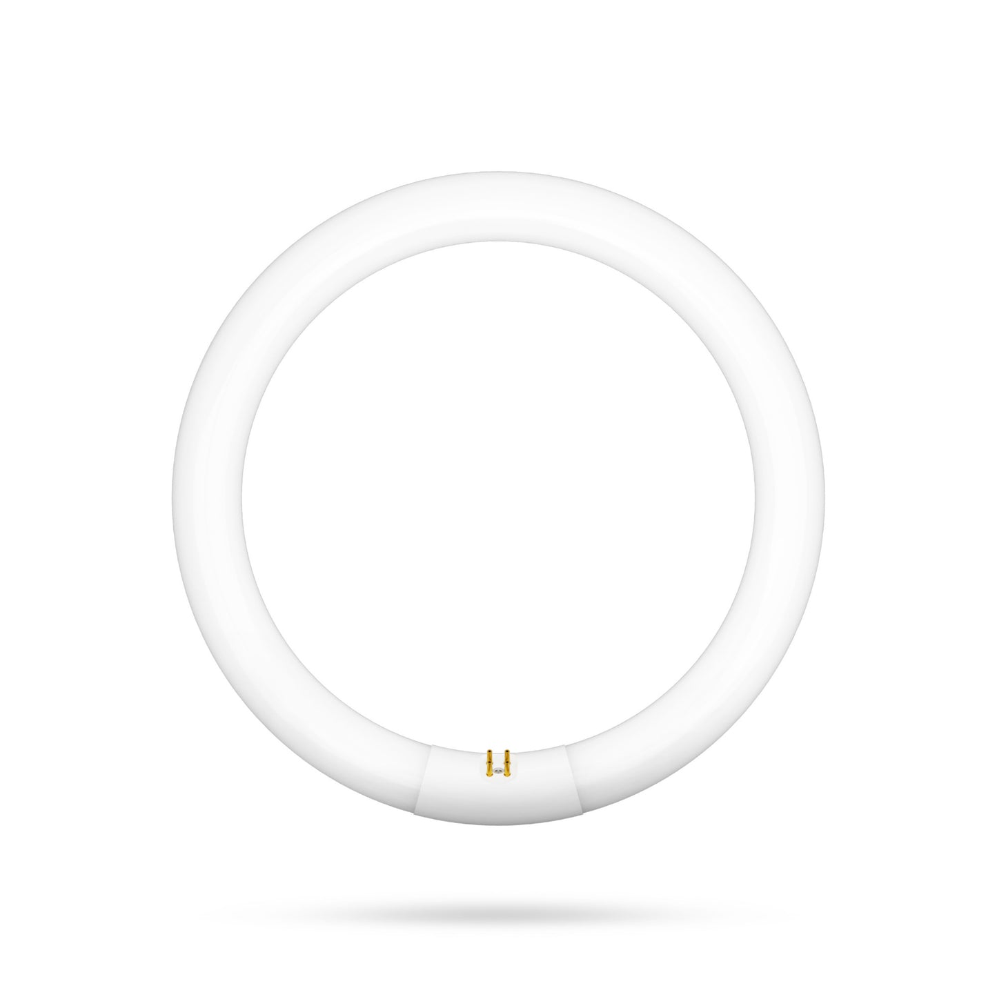 32W 12in T9 Circular Cool White 4-Pin G10-Q Base Non-Dimmable Fluorescent Light Tube