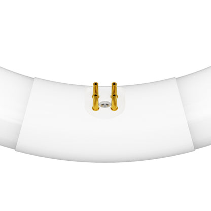 32W 12in T9 Circular Cool White 4-Pin G10-Q Base Non-Dimmable Fluorescent Light Tube