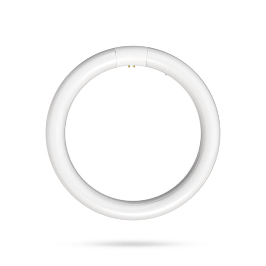 15W 8in T9 Circular Switchable White 4-Pin G10q Base Non-Dimmable LED Light Tube