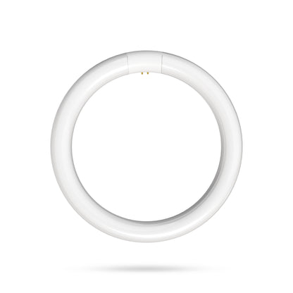 15W 8in T9 Circular Cool Daylight 4-Pin G10q Base Non-Dimmable LED Light Tube