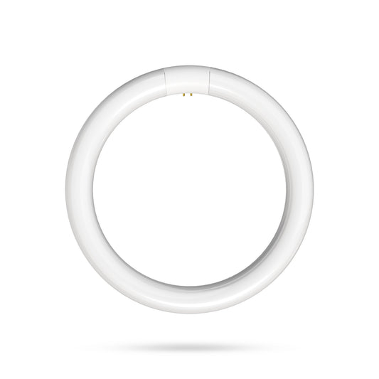 15W 8in T9 Circular Cool Daylight 4-Pin G10q Base Non-Dimmable LED Light Tube