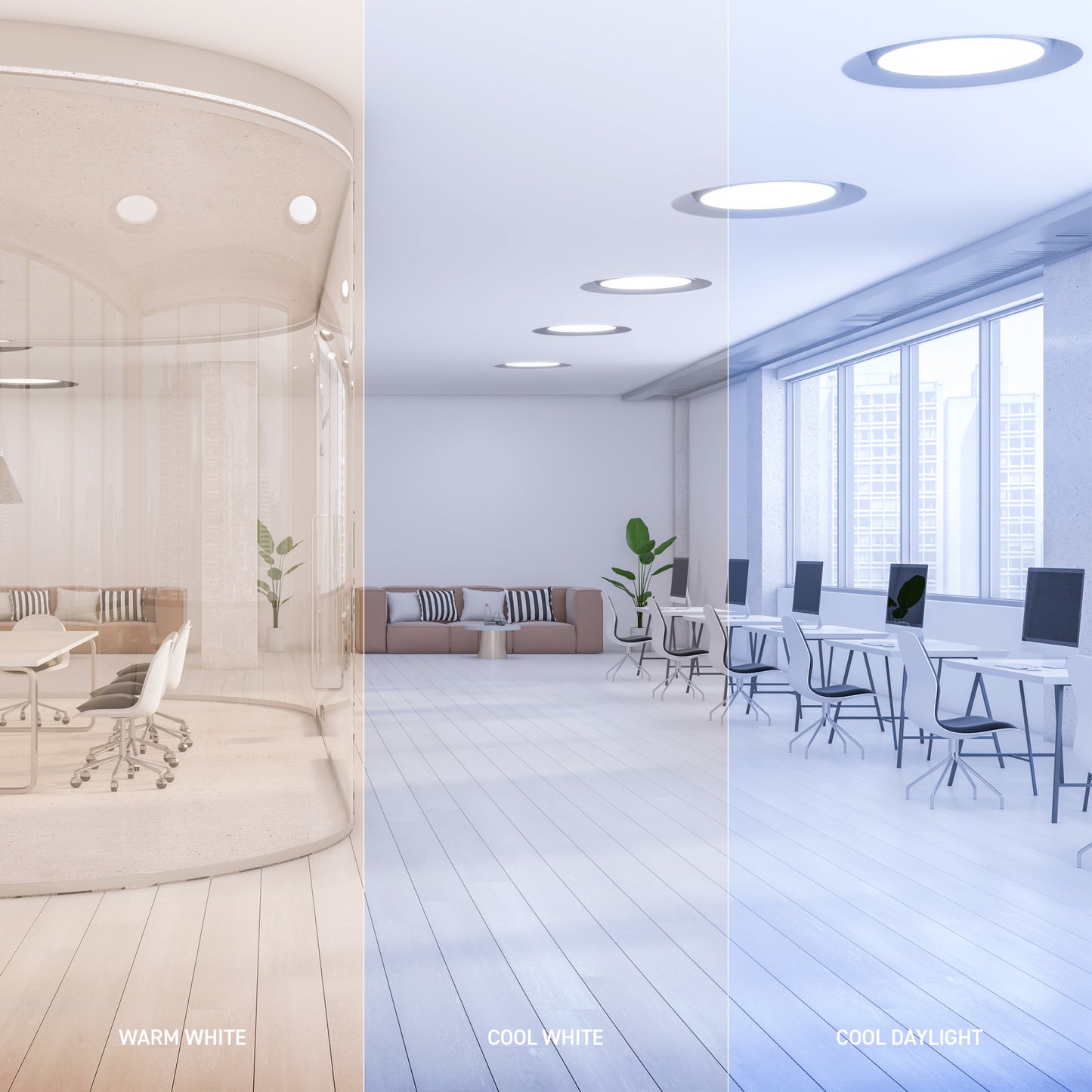 16W 9in T9 Circular Switchable White 4-Pin G10q Base Non-Dimmable LED Light Tube